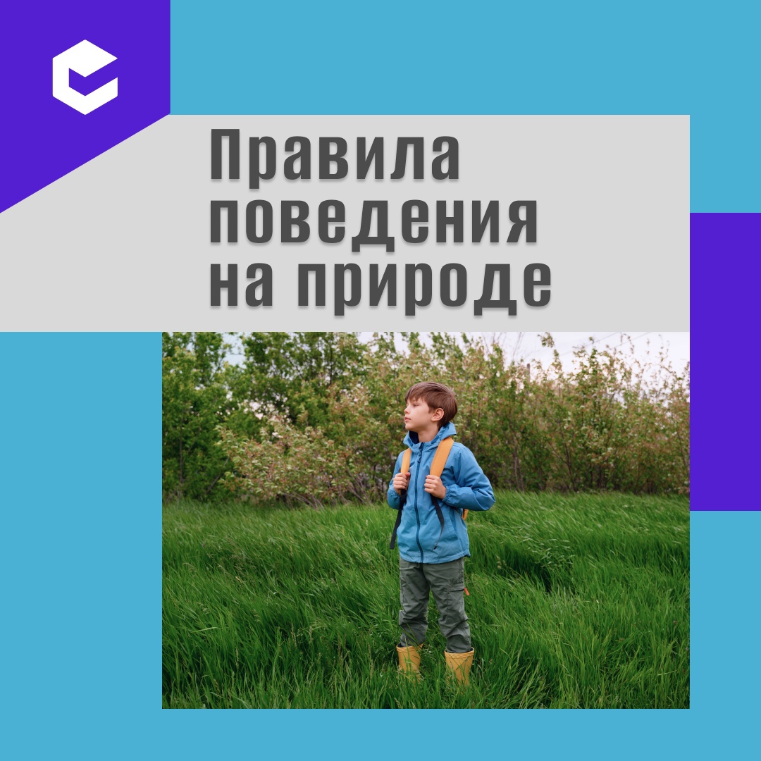 Несколько правил поведения в лесу или парке